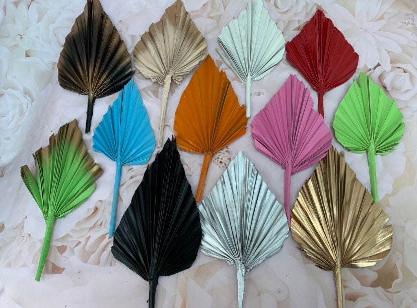 Dried Palm Spear Leaves ,black, pink, blue, gold, white, green orange palm spear, palm cake topper, palm decor, dried flowers cake decor