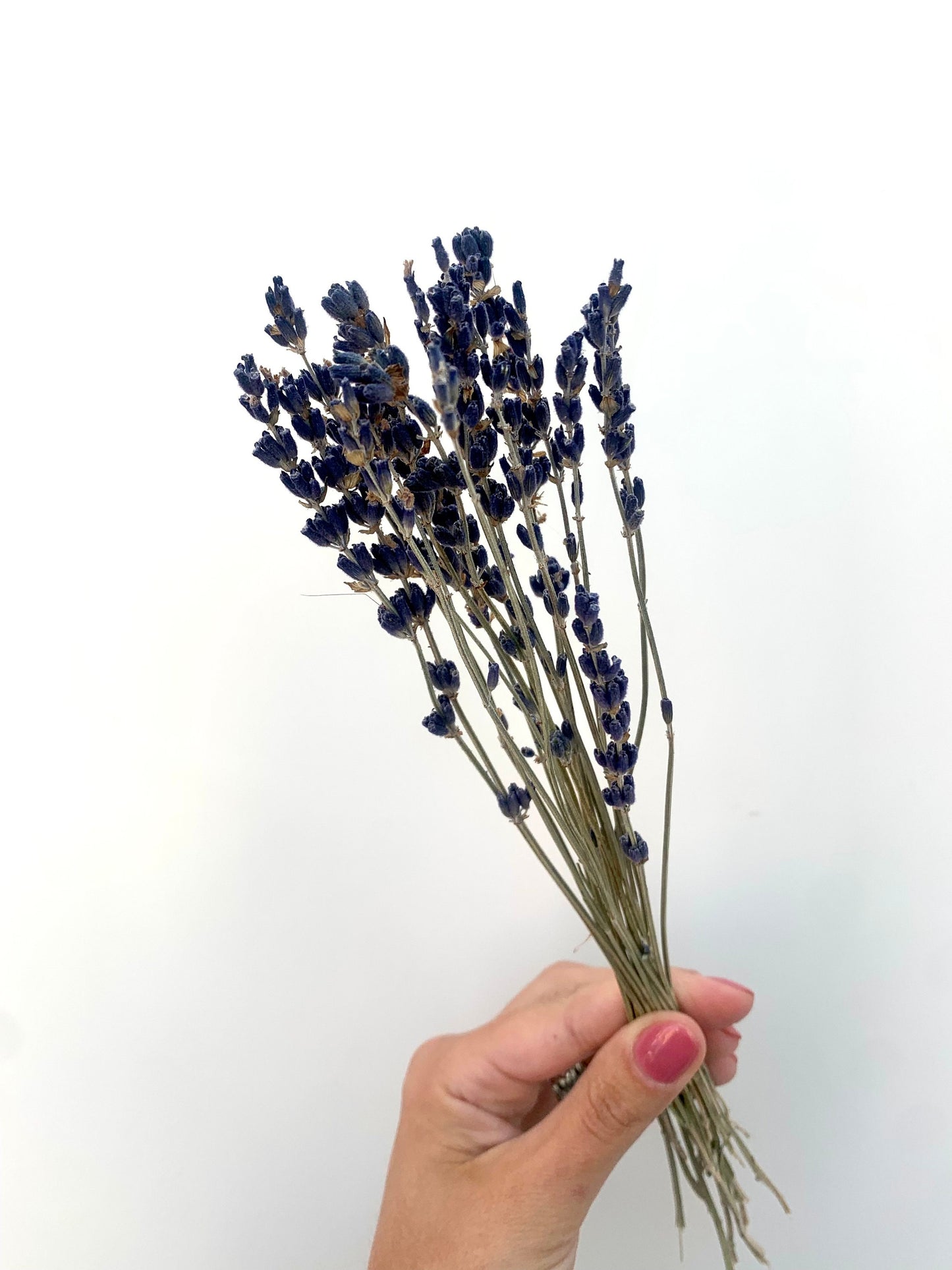 25 stems lavender/ dried lavender bunches / dried flowers/ boho decor / lavender bouquet