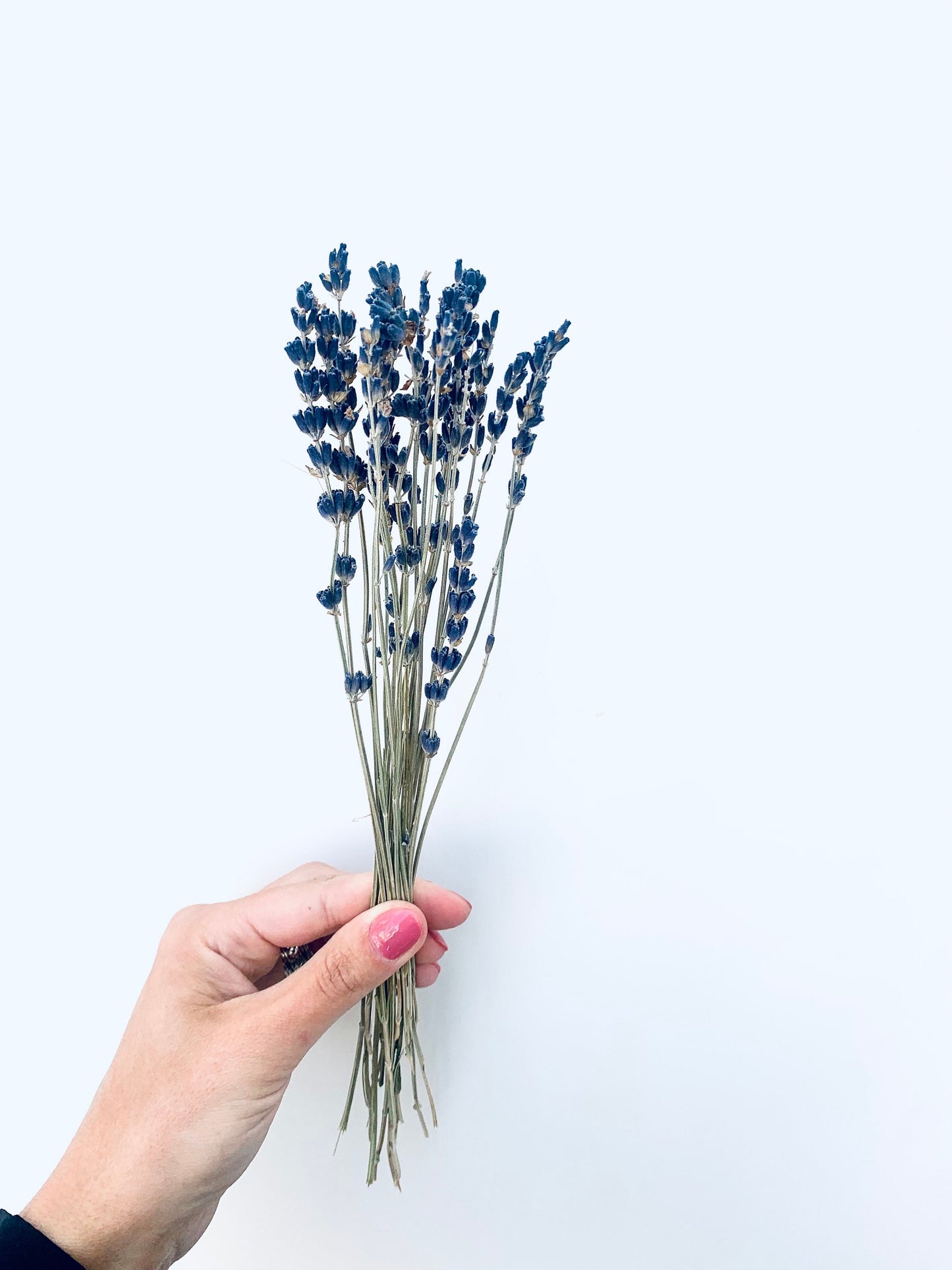 25 stems lavender/ dried lavender bunches / dried flowers/ boho decor / lavender bouquet