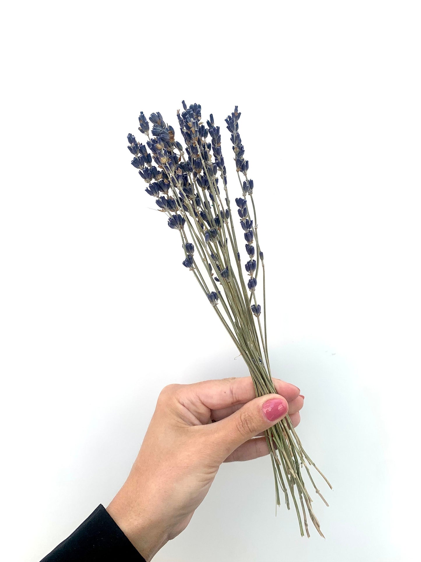 25 stems lavender/ dried lavender bunches / dried flowers/ boho decor / lavender bouquet