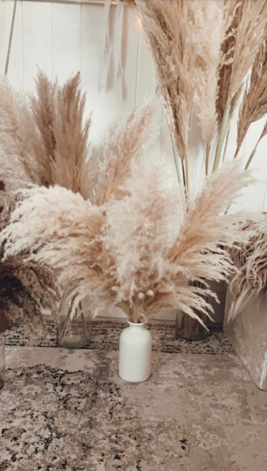 Sale extra large cream fluffy natural pampas grass 60-140cm pampas stem, gift for her, dried flowers, pampass grass / pampas bouquet