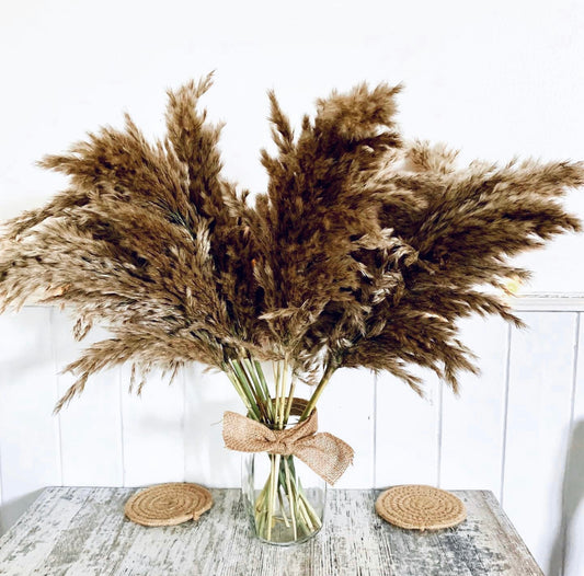 Beautiful Fluffy Grey Pampas Grass /  Pampass grass bouquet/ Table Decoration /  Wedding Boho Home Decor UK