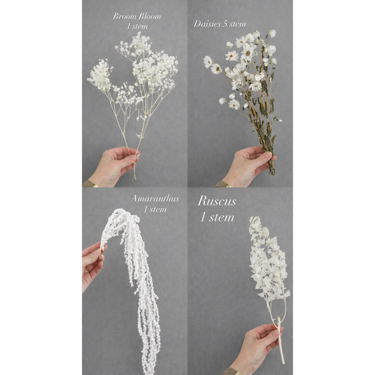 Boho Dried Flower Mix: Pampas, Ruscus, Bunny Tails, Palm Spear