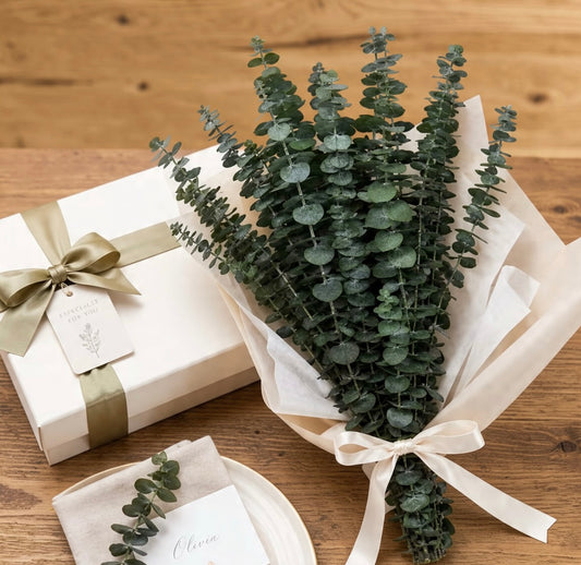 Preserved Eucalyptus Stems – Natural Dried Eucalyptus for Home Decor & Floristry