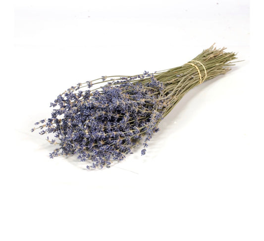 100g Bunch of Natural Dried Lavender 40cm/15 Inches Blue