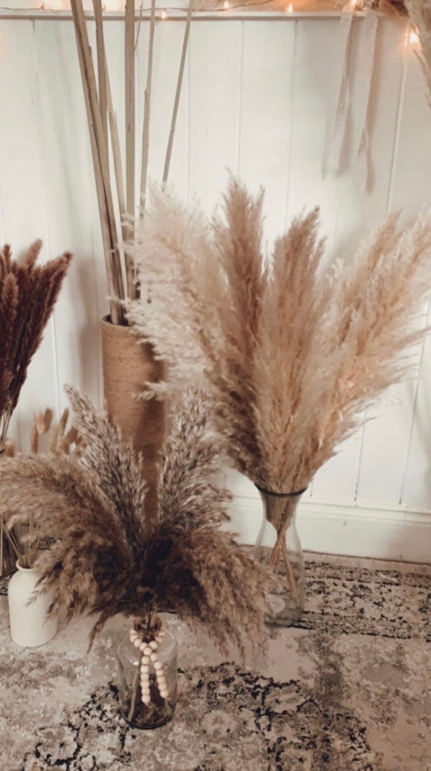 Sale extra large cream fluffy natural pampas grass 60-140cm pampas stem, gift for her, dried flowers, pampass grass / pampas bouquet