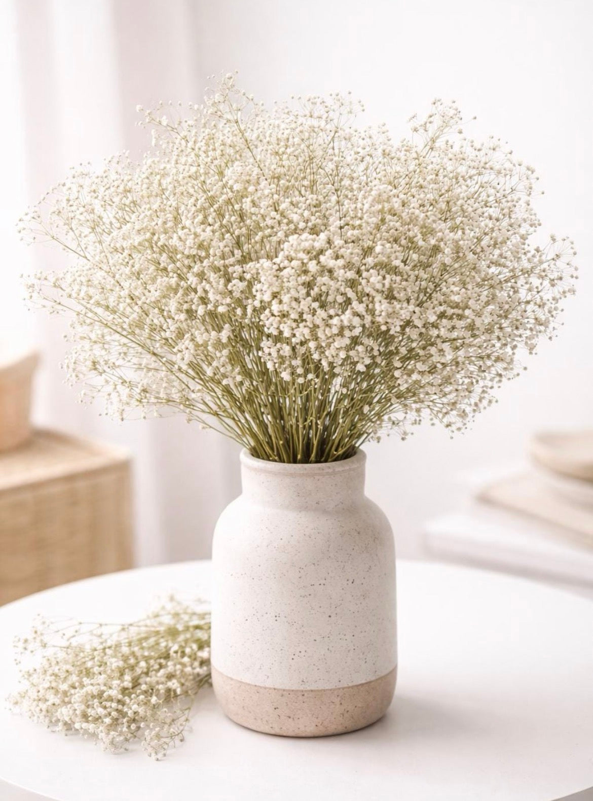 Preserved dried white gypsophila/ dried flowers / baby breath / white vase / boho decor / home decor GIFT FOR HER bouquet