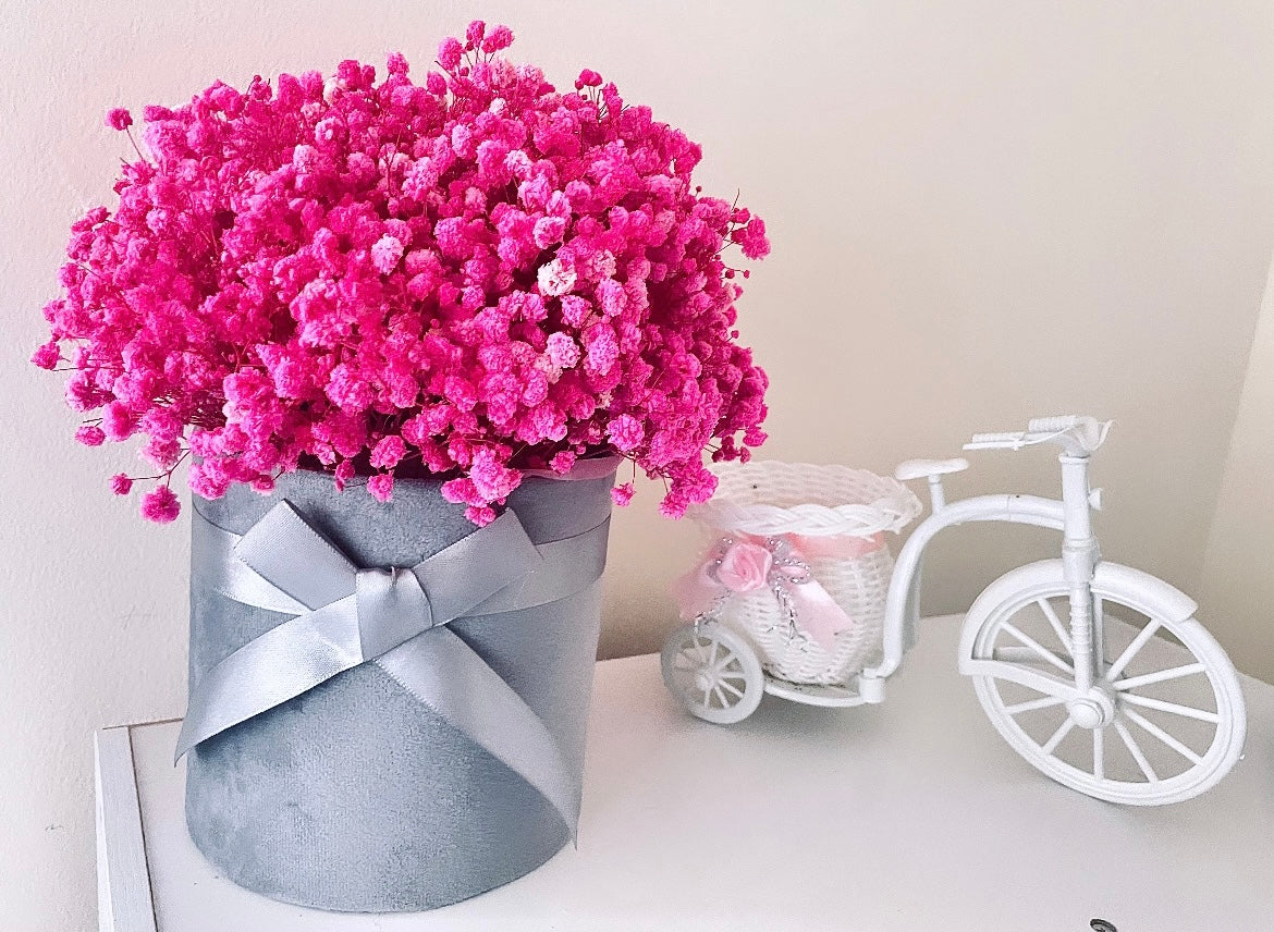 Gypsophila Box Flowers Birthday Gift for Her Pink Gift Bouquet in a box Girls Room Decor