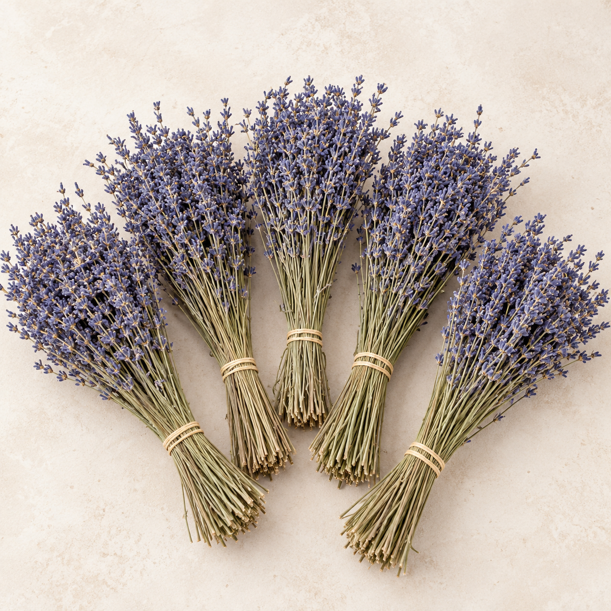 Wholesale Natural Dried Lavender Bunches – Blue, 40cm, Pack of 5