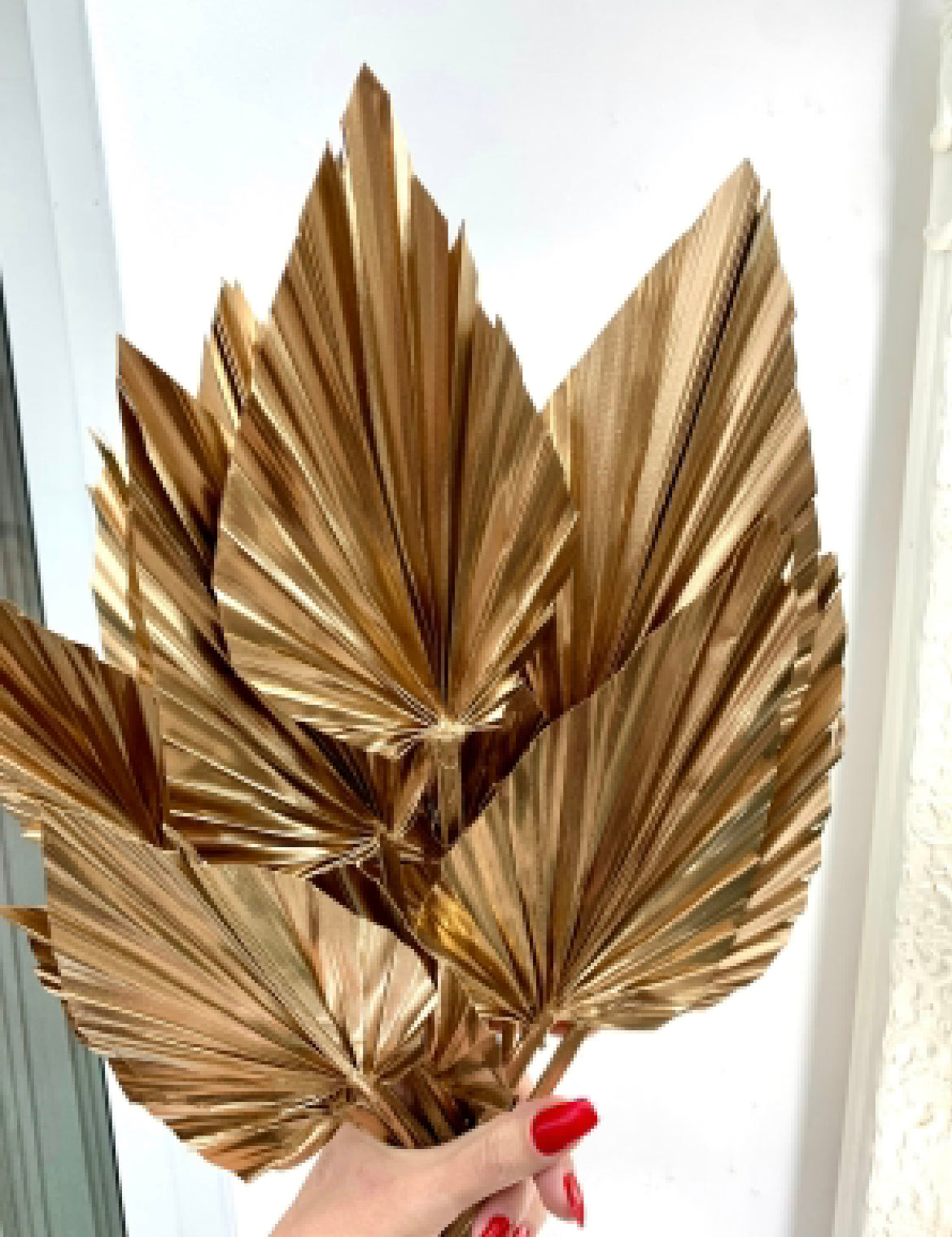 5 Gold Palm Leaves