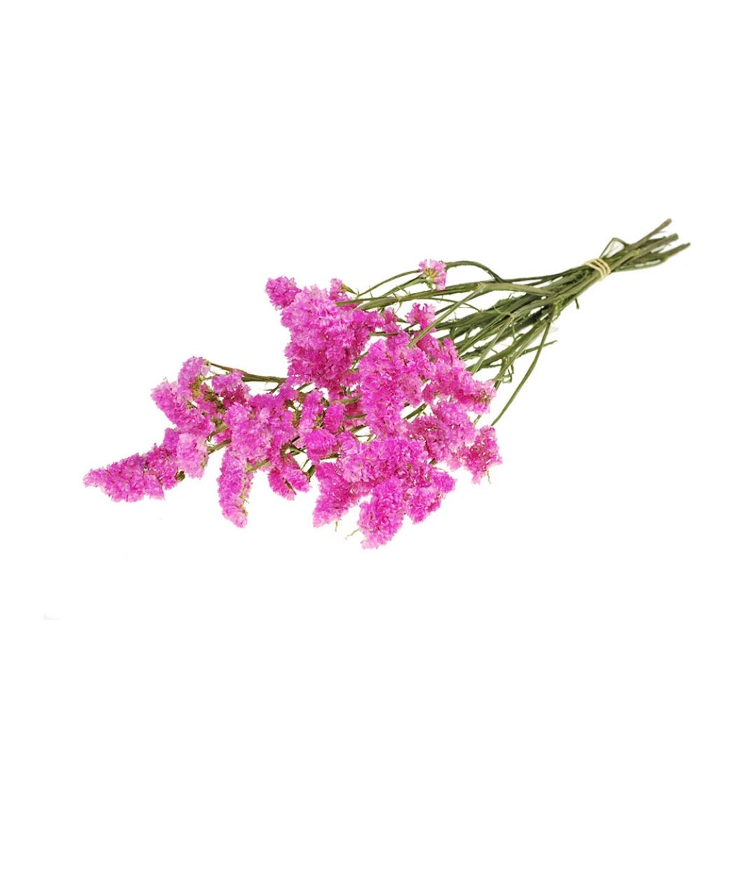 Dried Bunch Natural Statice Sinuata Or Sea Lavender 60cm/24 Inches Various Colours