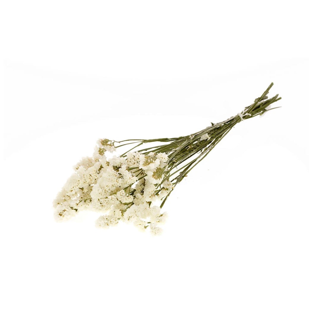 Dried Bunch Natural Statice Sinuata Or Sea Lavender 60cm/24 Inches Various Colours