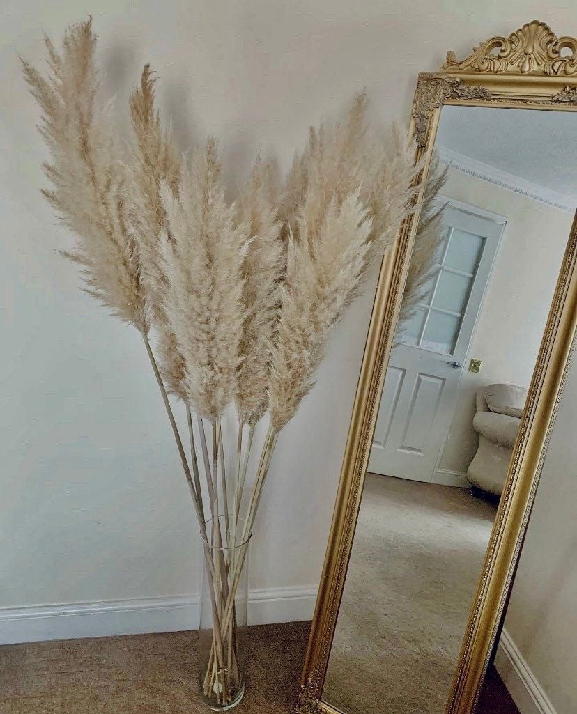 Large Fluffy dried pampas grass 60cm-140cm pampas bouquet /dried flower / pampas grass decor GIFT / pampass grass /pampass grass tall