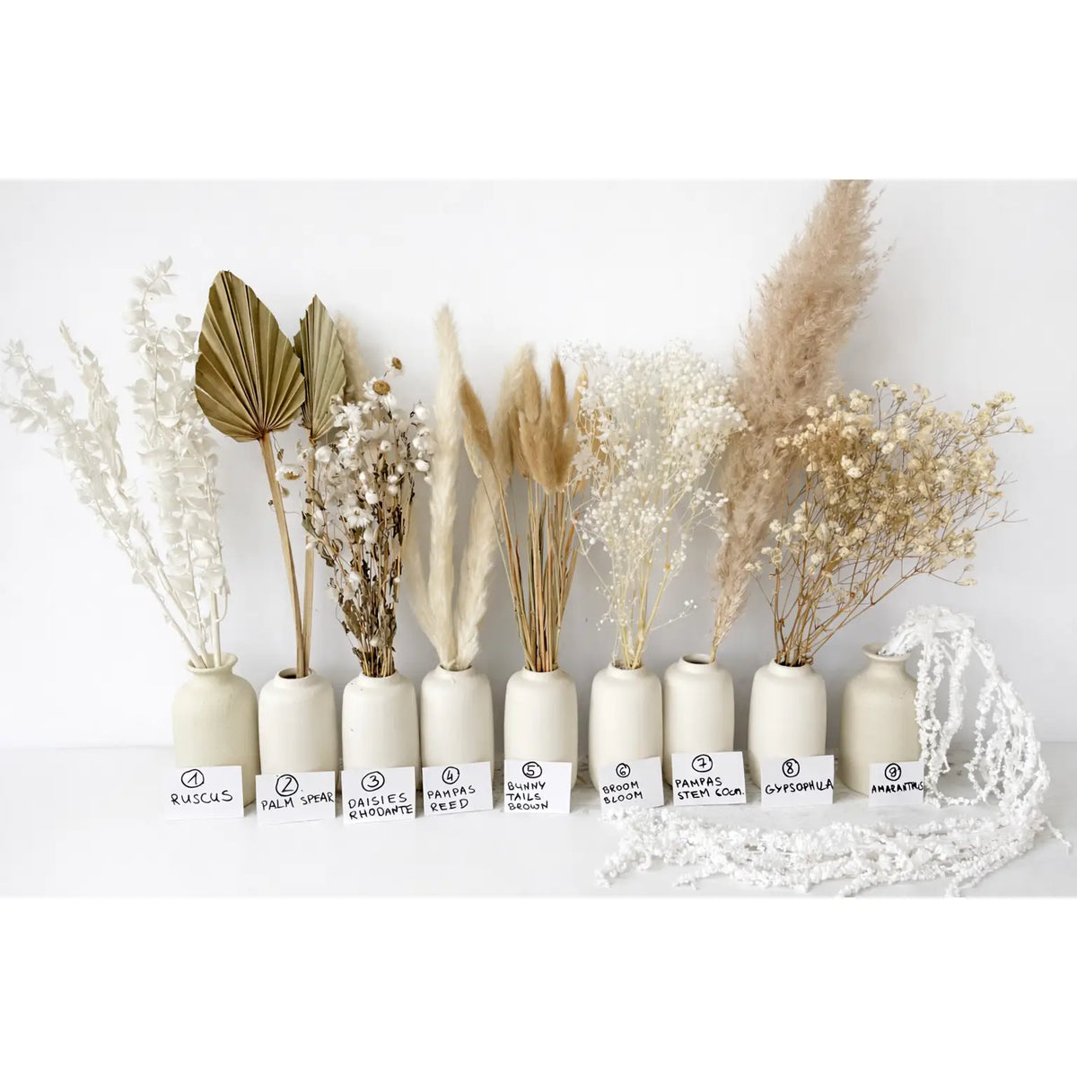 Boho Dried Flower Mix: Pampas, Ruscus, Bunny Tails, Palm Spear