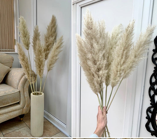 Beautiful fluffy large pampas grass perfect Gift present, Lovely Pampas UK , / pampass grass / pampas bouquet/ dried flower gifts