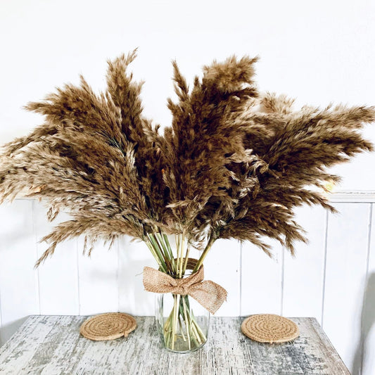 Beautiful Fluffy Grey Pampas Grass /  Pampass grass bouquet/ Table Decoration /  Wedding Boho Home Decor UK