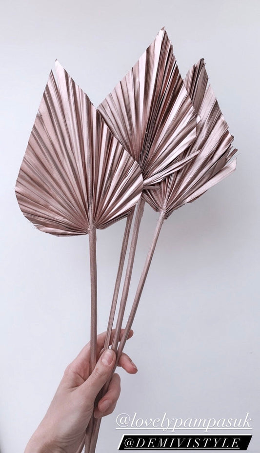 3 Rose Gold Dried Palm  Spears / Cake topper decoration / Dried Vase Flowers / Palm Leaf UK / Palm Cake topper