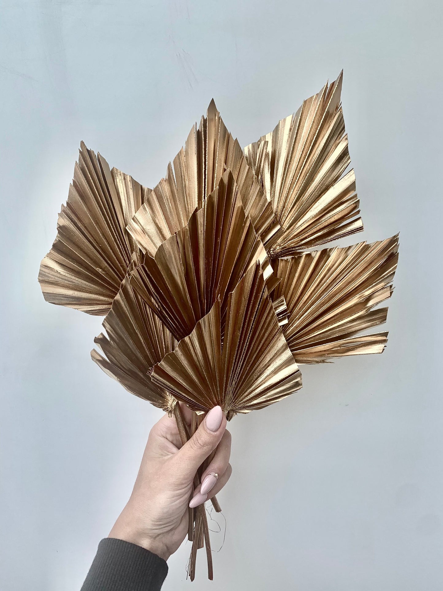 3x Gold / White Dried Palm Spear Leaves / boho decor, dried vase flowers, palm leaf UK,  palm decor, palm cake topper, palm spears