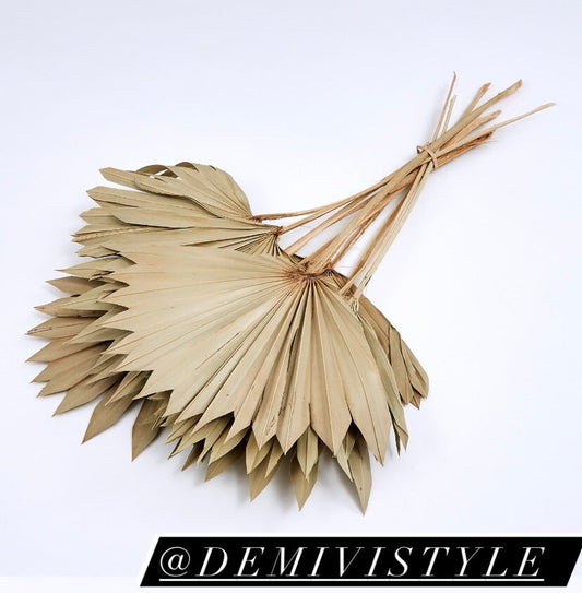 Palm Sun Natural 5 stems, Dried Palm Sun Leaves / cake topper