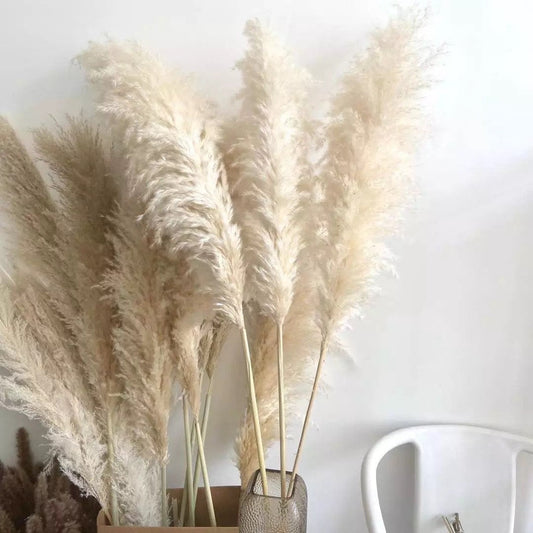 Luxury Large Fluffy Pampas, Pampas bouquet, Cream / Beige Dried Pampas 140cm. Gift, Home Decoration, Pampass grass, Dried Flowers