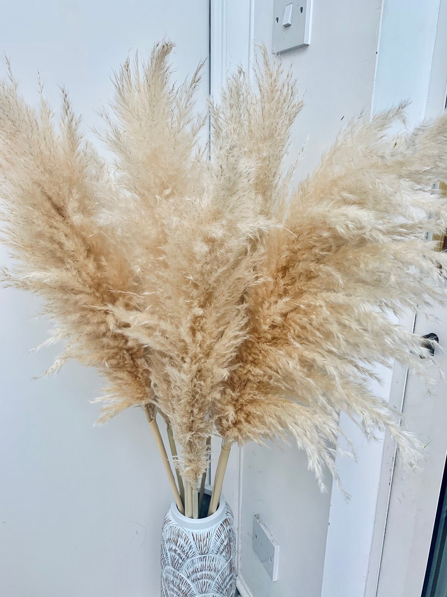 Large Fluffy dried pampas grass 60cm-140cm pampas bouquet /dried flower / pampas grass decor GIFT / pampass grass /pampass grass tall