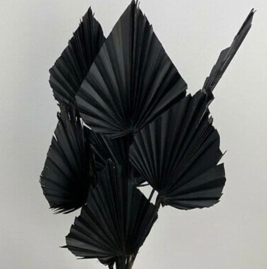 3x Black Dried Palm Spear Leaves ,black colour/ boho decor, dried vase flowers, palm leaf UK,  , palm decor, palm cake topper