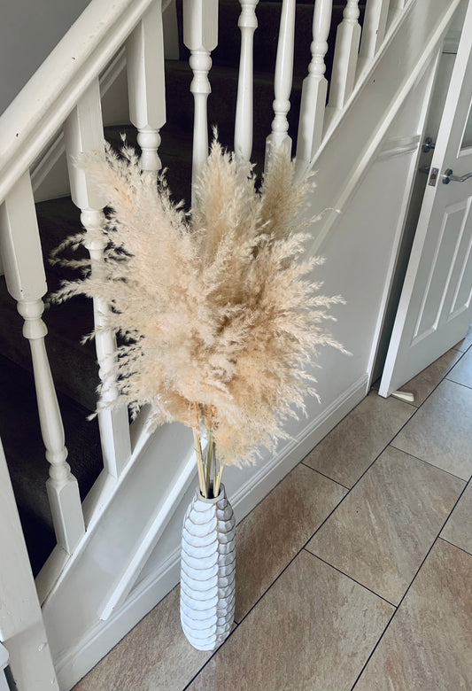 Fluffy dried pampas grass 60cm 80cm 100cm 120cm 140cm pampas stem, light cream/beige, pampass grass arrangement , tall pampas /