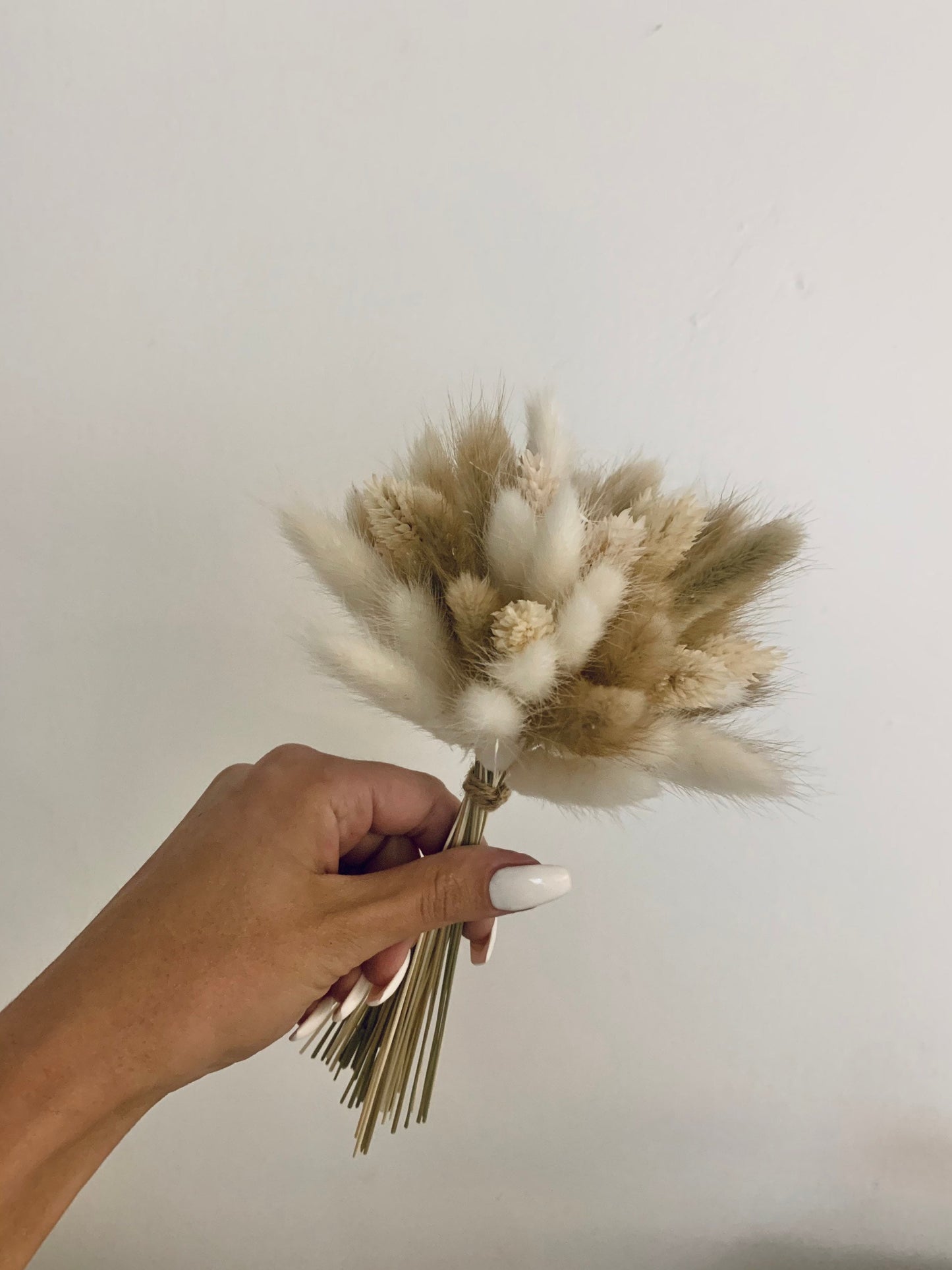 Cream White mixed bunny tails /Bunny Tail bouquet, Dried Lagurus , Bunny Tails UK/ Dried flowers / Dry Flower Bouquet