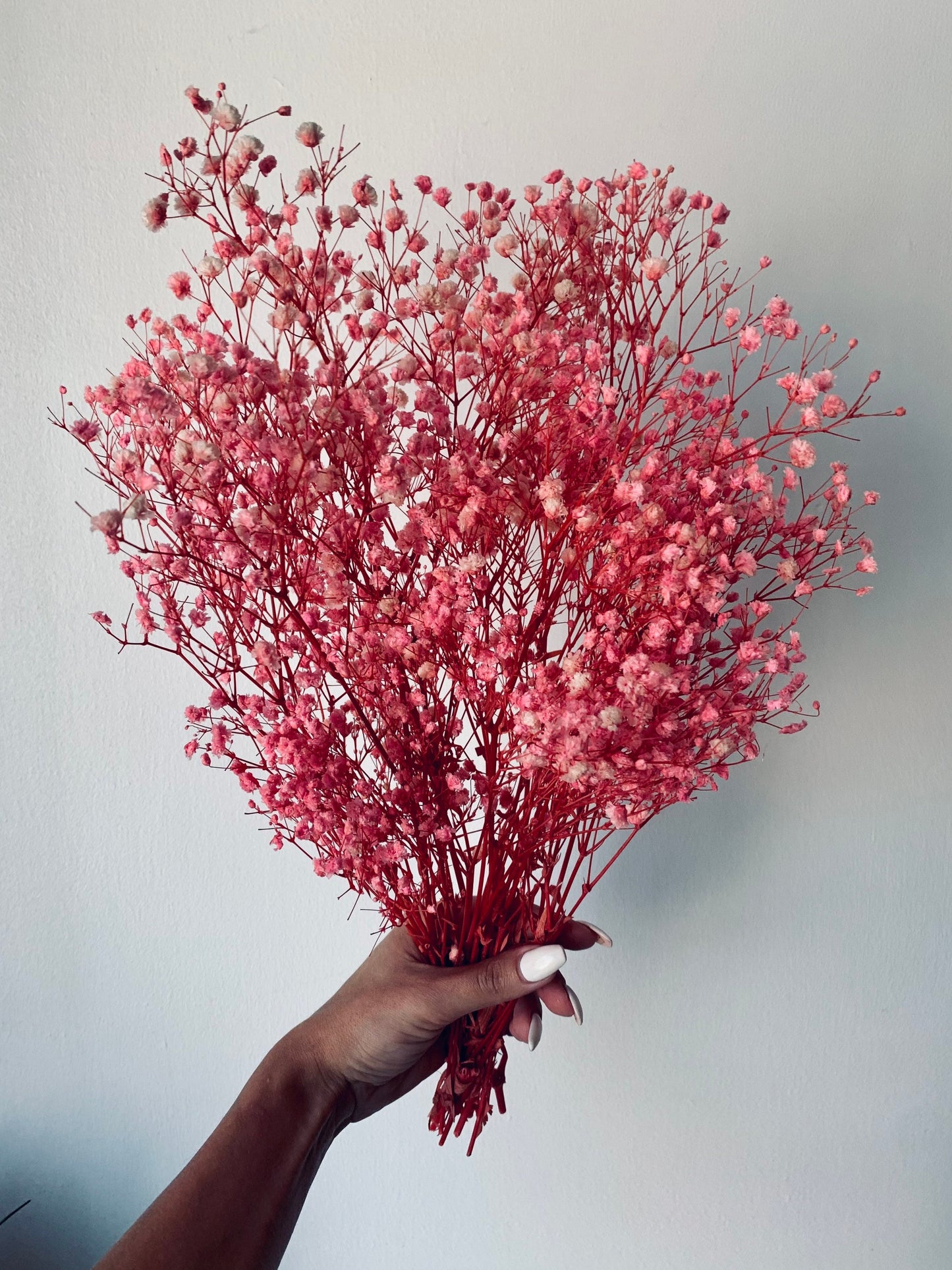 Dried Baby’s Breath Flowers Light Pink Colour Bouquet/ Gypsophila /Pink Flowers/ Dried Flowers home decore / Gift for Her