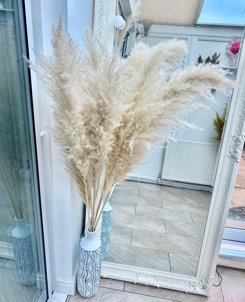 Very Large natural beige  140cm Fluffy Pampas Grass, XL pampas, Cream Dried Pampas Large / tall pampas grass/ pampass grass arrangement