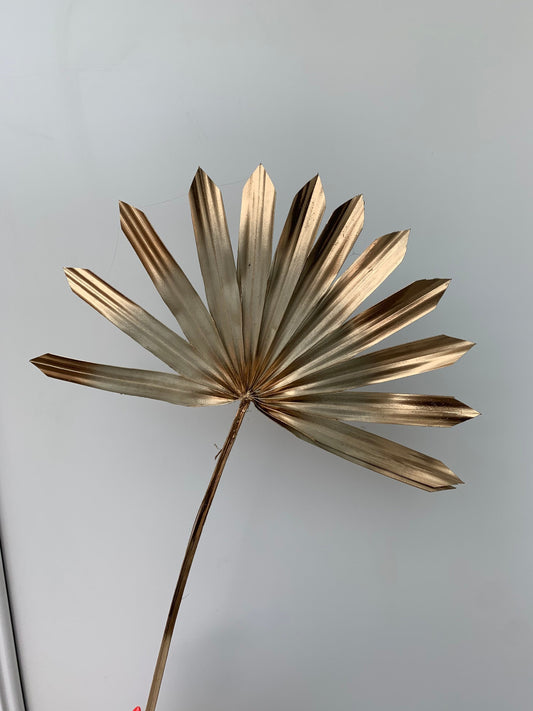 Natural with Gold edges sun palm leaf / palm leaves/ palm spears / cake topper / palm cake topper