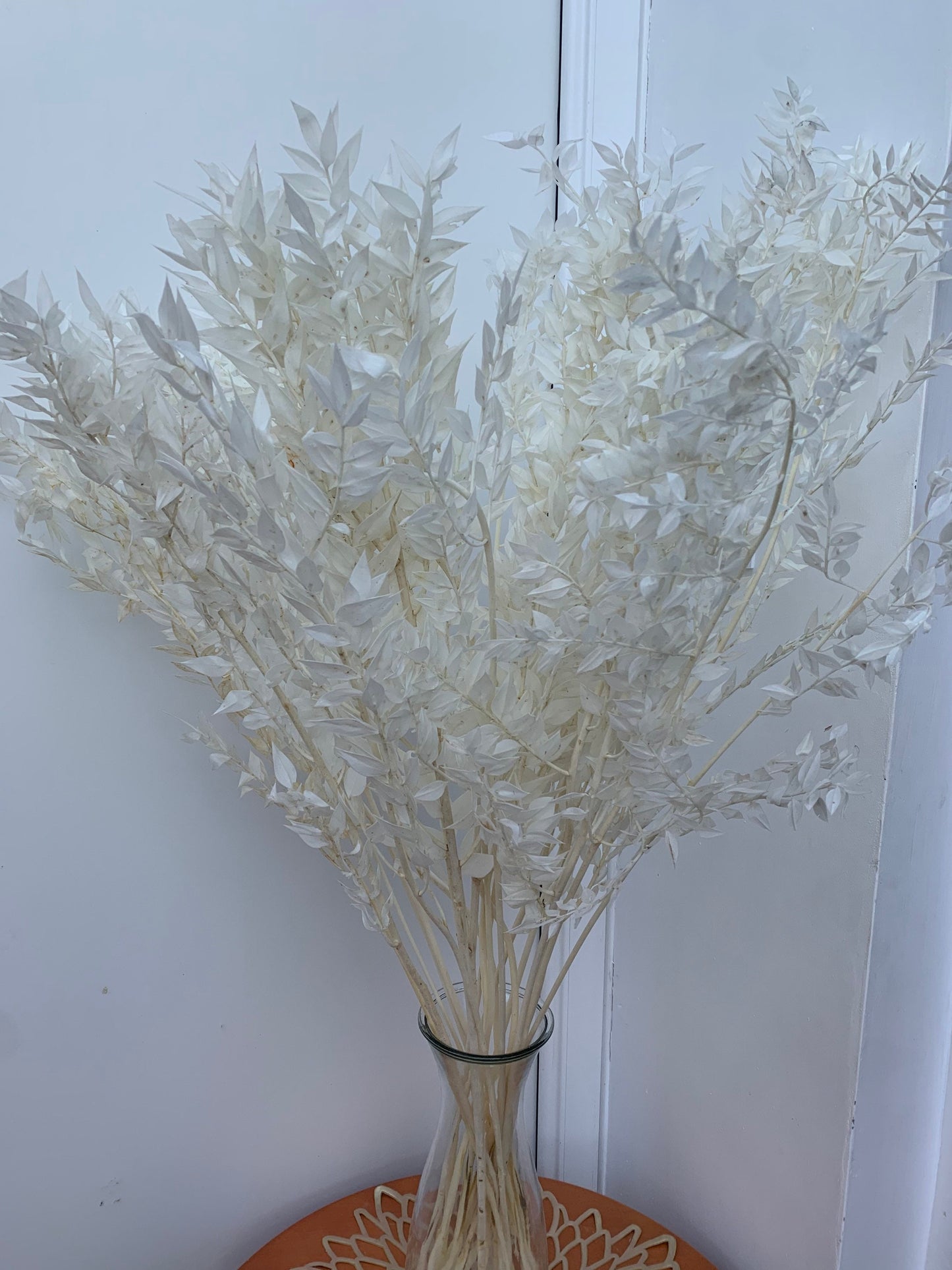 3 stems Preserved white bleached ruscus / white branch / white leaf dried flowers/ ruscus for arrangement/ table decoration