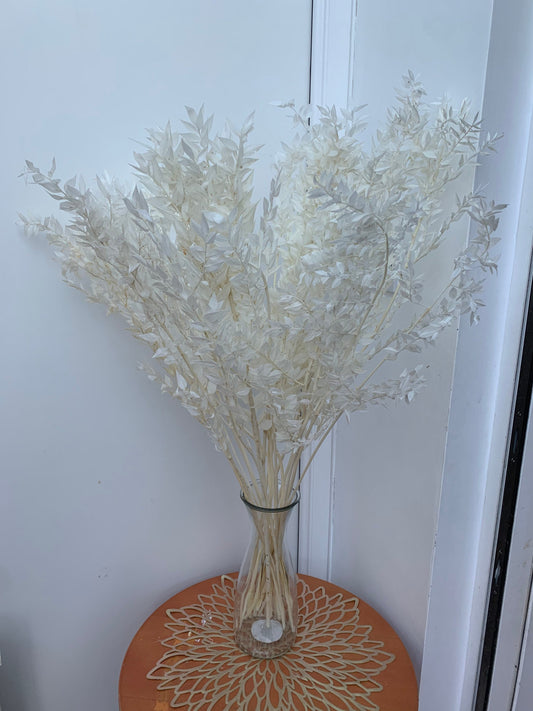 3 stems Preserved white bleached ruscus / white branch / white leaf dried flowers/ ruscus for arrangement/ table decoration