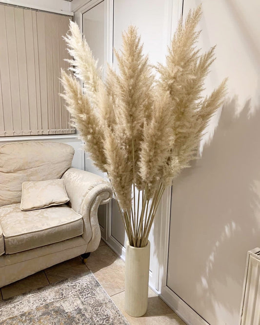 Sale extra large cream fluffy natural pampas grass 60-140cm pampas stem, gift for her, dried flowers, pampass grass / pampas bouquet