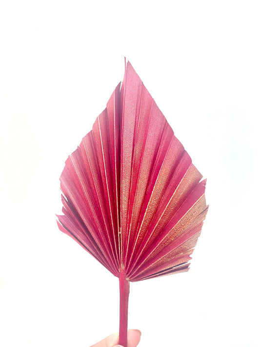 Fuscia Gold  Dried Palm Spear Leaf / boho decor, dried vase flowers, palm leaf UK,  palm decor, palm cake topper, palm spears