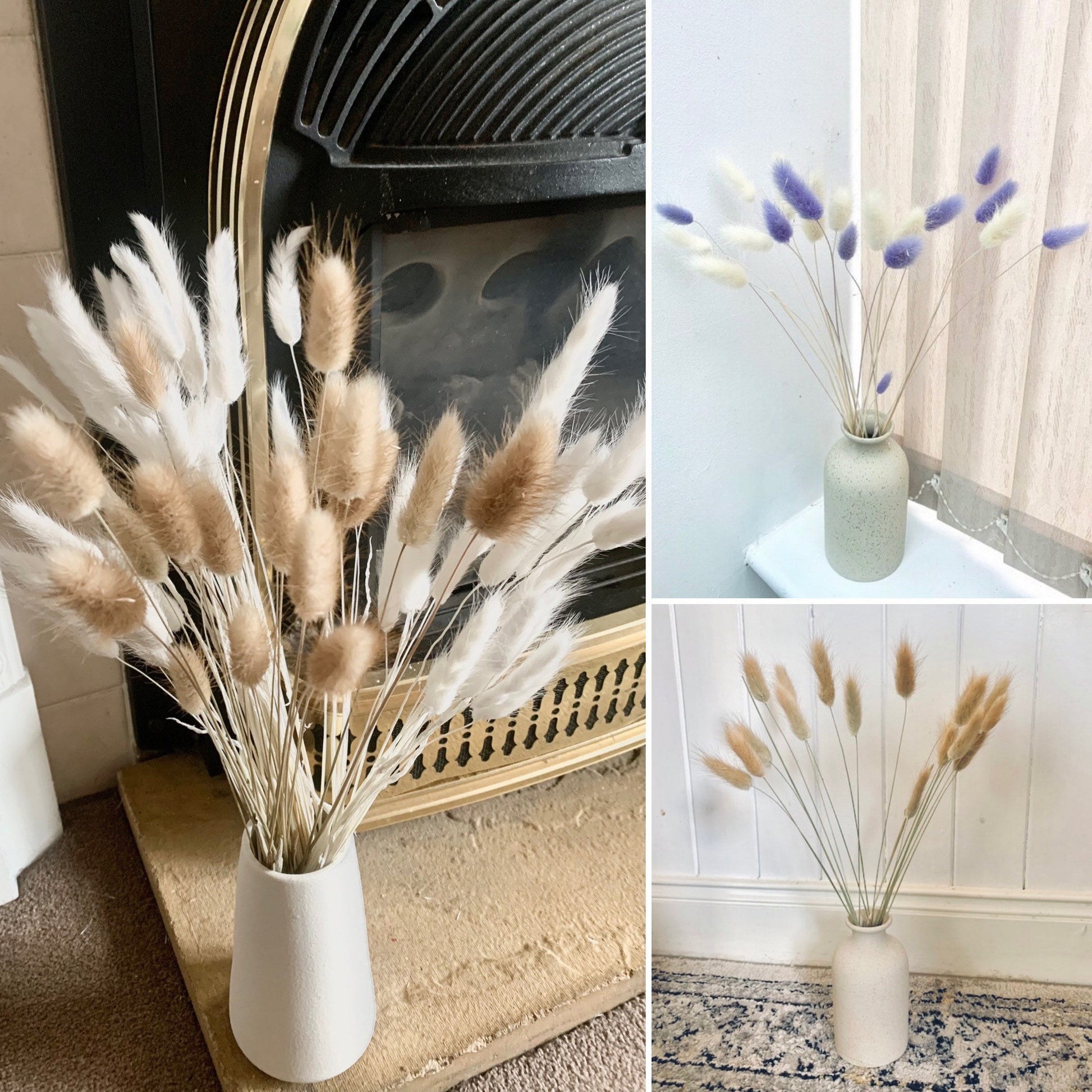 Bunny Tails grass , Lagurus , purple , natural brown bunny tails / whi –  DemiVi Style