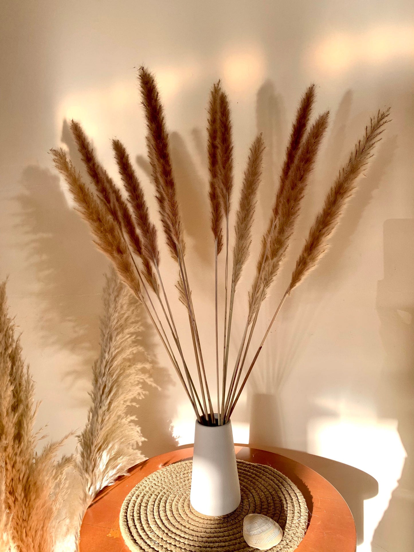 Dried pampas reed, 10 stems 60cm tall, Lovely Pampas Uk, Brown Colour, white pampas /home decor / Pampas UK