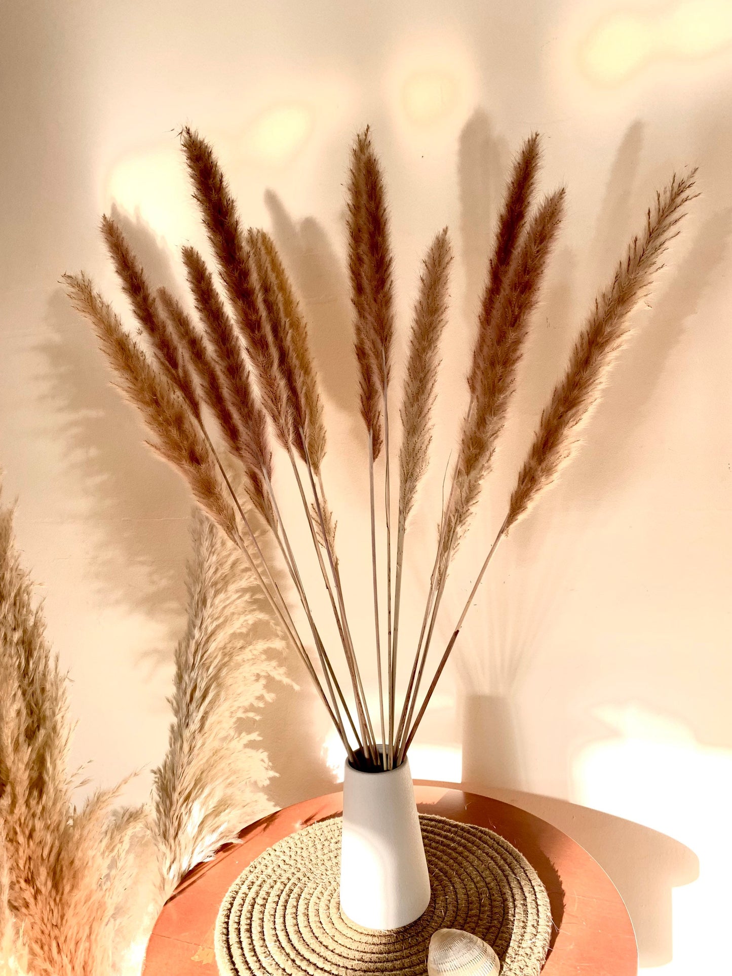 Dried pampas reed, 10 stems 60cm tall, Lovely Pampas Uk, Brown Colour, white pampas /home decor / Pampas UK